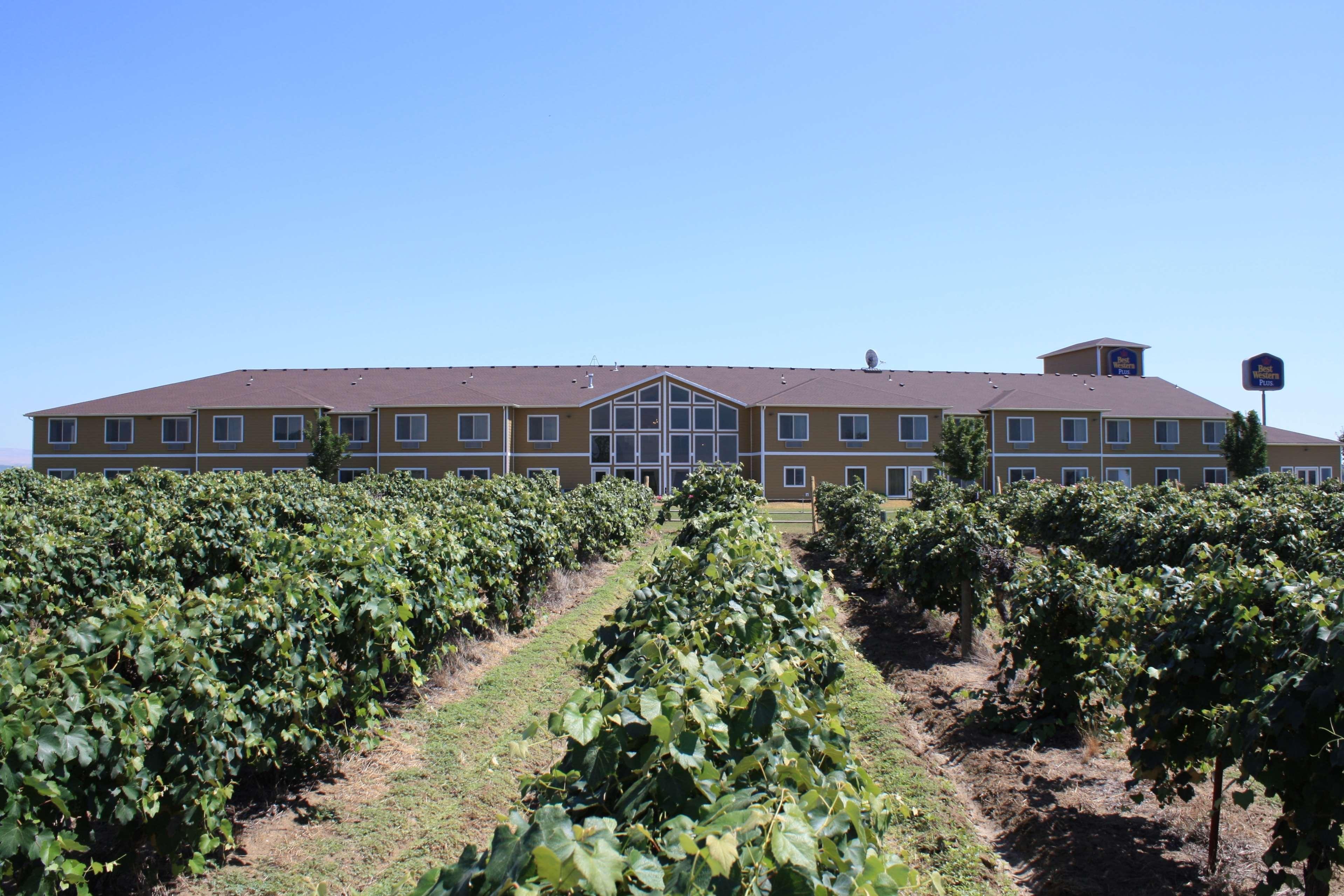 Best Western Plus Grapevine Inn Sunnyside Zewnętrze zdjęcie